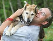  Morre Schoep, o cão famoso das redes sociais