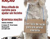 Campanha arrecada ração para cães